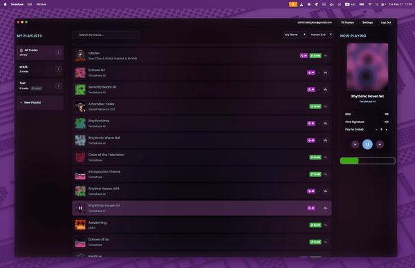 projects.items.teramuseDesktop.title